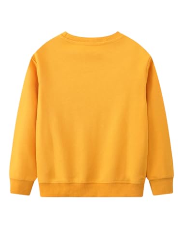 Boys Sweatshirts Casual Sweatshirts Cotton Sweatshirts Long Sleeve T-shirts Crew Neck Cartoon Tops for Boys-5892