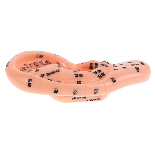 Didiseaon Accurate Human Ear Acupunctures Model Silicone Body Part for Chinese Medicine Learning Massage Practitioners