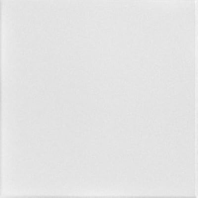 À LA MAISON CEILINGS R22 Basic Foam Glue-up Ceiling Tile (21.6 sq. ft./Case), Pack of 8, Plain White
