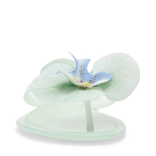 Steve Madden Women's Poppyseed Sandal, Mint, 6