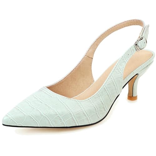 DINTAHA Pointed Toe Slingback Heels for Women Kitten Heel Pumps Low Heel Dress Shoes for Women