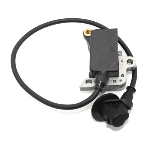Bobine d'allumage pour TS400 résout les problèmes de démarrage difficile 4223 400 1300 - 3