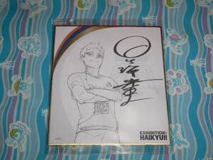 Amazon.co.jp: ハイキュー!! EXHIBITION ミニ色紙 シュヴァイデン