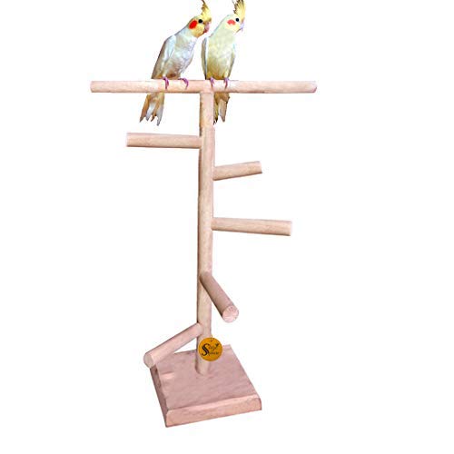 Sage Square 24 Inches / 61 cm Natural Wood Training Cum Exercise 5 Stairs Playful Perch Bird Stand/Bird Toy (B07V6GDPZJ) Amazon Price History, Amazon Price Tracker