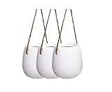 übertopf weide Mit Seil. Kann im Eingangsbereich, Wohnzimmer, Balkon und Büroraum aufgehängt werden.