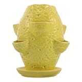 Un environnement sain pour les plantes : ces pots à orchidées en céramique percés et ces pots de pépinière créent des conditions idéales pour la santé des plantes et la des orchidées. pot à orchidées percé, pot pour plantes succulentes