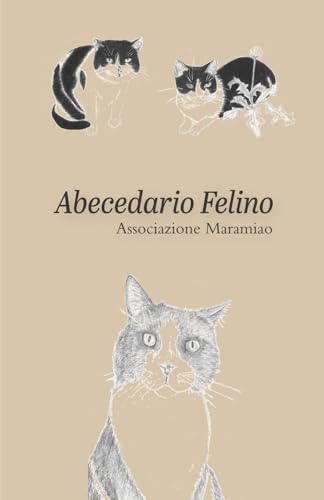  Abecedario Felino