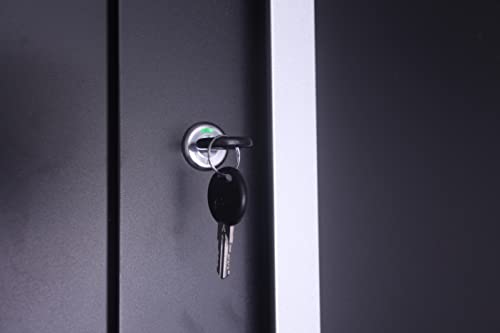 Crownwall Pro Series Fully Assembled Wall Cabinet, Garage Storage, Home Organizer Storage System (Black With Silver Handles) #TOP5