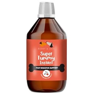 Buddy & Lola Fast-Acting Dog Diarrhea Treatment with Electrolytes – 20 Servings – Tummy Settler For Dogs All Breeds, Sizes and Ages – Syringe Included