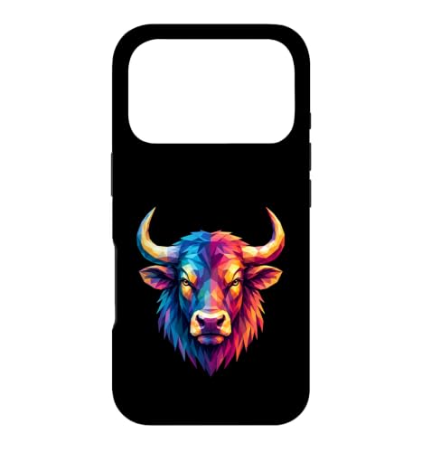 �J���t���Ȋ􉽊w�I�ȗY���̓������D�� �X�}�z�P�[�X iPhone 17 Pro �p