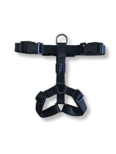Animal Connection Pettorina ad H per Cani. 5 Punti di Regolazione. Disponibile in 5 Colori. Leggera e Resistente. (M+, Nero)