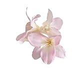 Lerpwige Stylish Flower Hair Claw Clip Clip Chinesische Stile Elegante Haarzubehör Frauen Mode Haarstücke Für Besondere Anlässe