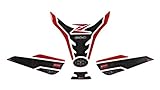 Juego compuesto de protector de depósito (número de referencia 502932) y rodillera (número de referencia 800671) compatible con Kawasaki Z 900 (modelo año 2020) Diseño compatible para lacado: Metallic Spark Black / Metallic Spark Black (impresión/colores sin efecto metálico)