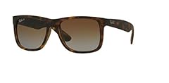 Havana Rubber/Brown Gradient Polarized