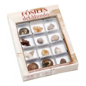 FOSILES DEL MUNDO Nº 1