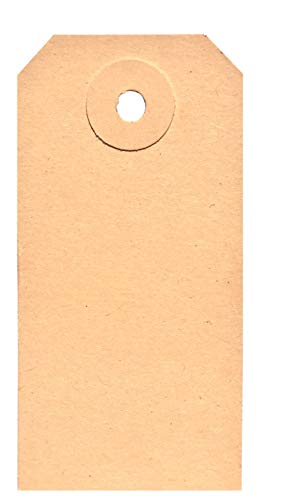 BT-Label 1000 etiquetas de 40 x 80 mm con agujero (ojal de cartón reforzado), como etiquetas de mercancía, etiquetas de cartón, etiquetas de papel, etiquetas de cartón Cover