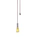 Globe Electric 1-Light Vintage Edison Plug-In Mini Pendant, Brushed Steel Finish, Red Designer Rope Cord, In-Line On/Off Rocker Switch, 1x A19 60W Bulb (sold separately), 64917