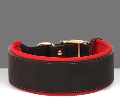 vicusse Breite Personalisierte Leder Hundehalsband für großen Hund. Weiches Dickes gepolstertes Hundehalsband mit Großem Namen für Schwarz XL Schwarz