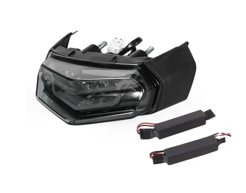 Feu arrière moto pour Tenere 700 T7 Rally 2025 avec éclairage LED et feu stop intégré
