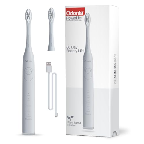 Brosse à dents électrique de voyage compacte et performante
