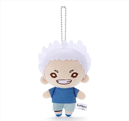 ハイキュー ぬいぐるみ バースデー のるキャラマスコット 星海光来 5個 Amazon.co.jp: にとたん ハイキュー!! 全日本ユース強化合宿 ボール
