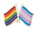 Transgender Rainbow Dual Flags Lapel Pin 1