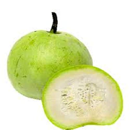 Pusa Sandesh Lauki seed- 85