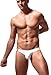 Newsywell Men's Bulge Fashion Micro Bikinis for Men Low Rise Spandex Briefs Underwear White X-Large