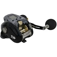 Daiwa Seaborg G Dendoh 300
