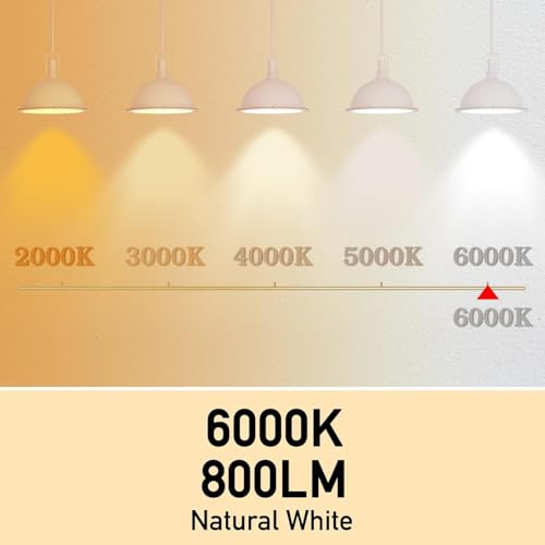 Image of Full Spectrum Light Bulb, 6000K Natural Sunlight Bulbs, 9W 60W Equivalent LED Light Bulb, Natural Light Bulbs A19, E26 /E27 LED Light Bulbs for Home, 12 Pack