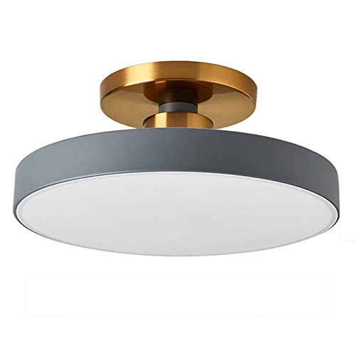 QIZHILIANGLIANG Nordic Industrial 3-Farben-Dimm-LED-Deckenleuchte...