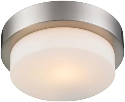 Multi-Family Flush Mount Pewter with Opal Glass