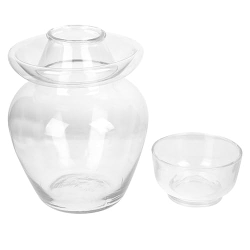 Homoyoyo Extra Large Glass Pickle Jar with Sealed Lid - Heat Resistant Borosilicate Storage Container for Household Pickles and Food