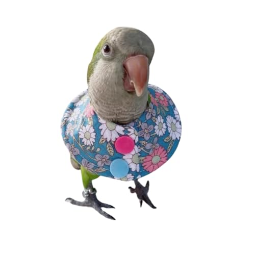 Bird Collar - Anti-Bite Elizabethan Recovery Cone Feather Plucking Protector Skin-Friendly Neckwear for Parakeets Conures Cockatiels Lovebirds Budgies Cockatoos African Grey Random Color (S)