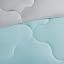 Aqua/Light Gray