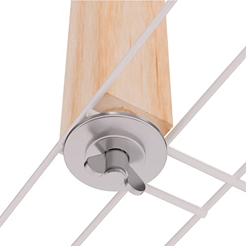 Gaiola Light Para Calopsita Com Poleiro No Teto Removível