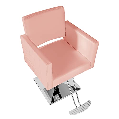 Paddie Hydraulic Salon Chair For Hair Stylist, 360 Degrees Rolling Swivel Barber Chairs All Purpose Beauty Spa Equipment, Max Load Weight 330 Lbs (Pink) #TOP1