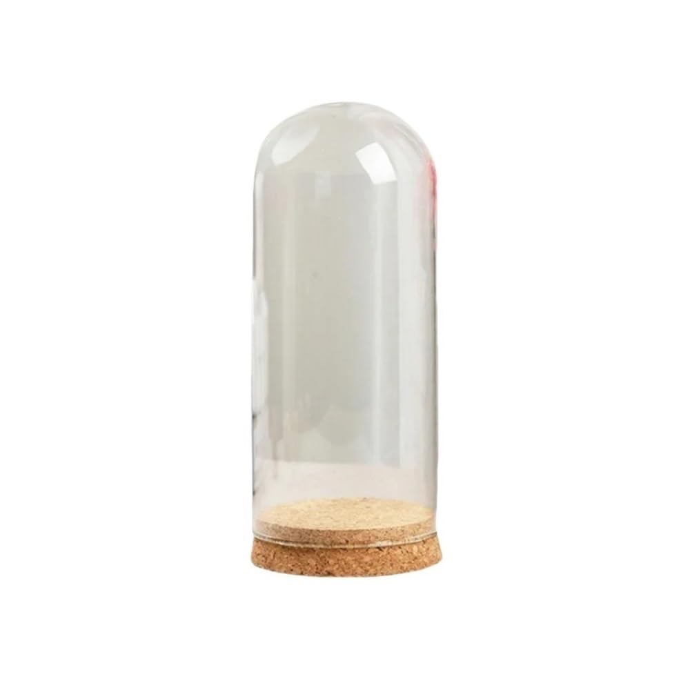 LOMNCHSG Glass Cloche Dome, Glass Dome Cloche Cover Wood Cork Base Microlandscape Bell Jar For DIY Vase Multiple Sizes(8x18cm)