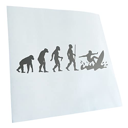 Kiwistar - Autocollant - motif surf vagues Evolution III - argent - G24 - Pour voitures, vélos, véhicules, motos, cyclomoteurs, tuning, vitres arrière