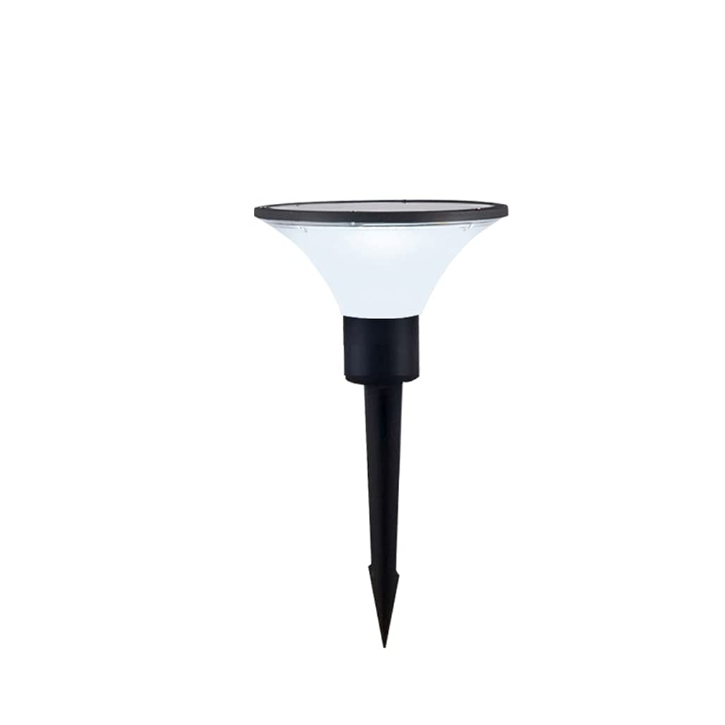 5W LED Solari Lampioncini da Esterno con Sensore Crepuscolare, Moderno Design Lampione da Giardino con Picchetto, Lampioncino da Giardino Alluminio Nero, IP65 Impermeabile,34cm