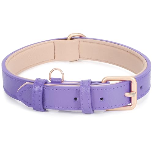 Leather Dog Collar Adjustable Soft Leather Padded Collar Heavy Duty for Small Medium Large Size Dogs with Alloy Buckle (Purple,XS)
