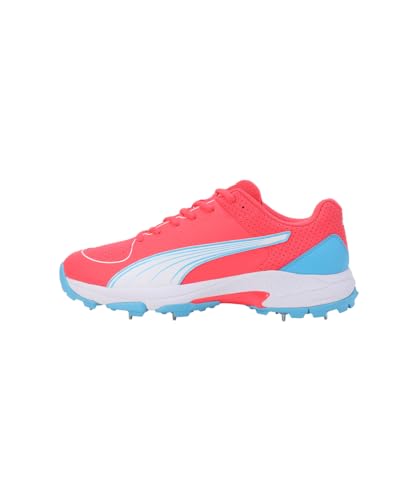 Image of Puma Mens Spike 24.2 Cricket Shoe