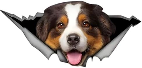 Autoaufkleber Gelb Australischer Schäferhund Aufkleber 18cm(7.1 Inch) Braun Weiß Australischer Schäferhund 3D Zerrissen Autoaufkleber Lustig Australischer Schäferhund Reflektierend