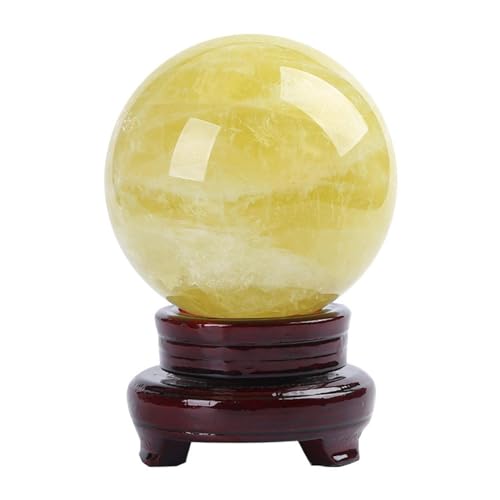 VR  Vg  p[Xg[ NX^     ^up  ObY J^F t IuWF av[g ޏ fB[X CeA CG[ 20cm