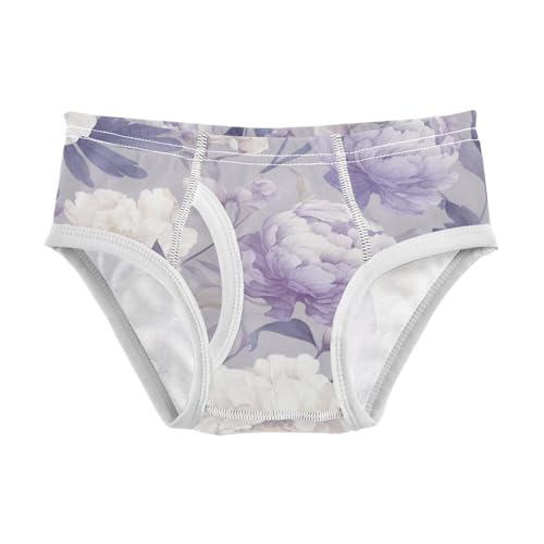 KLL Peonies Lilac Watercolor Ongrey Toddler Boys Pure Cotton Nighttime Underwear Cute Undies