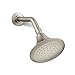 KOHLER K-10282-AK-BN Forte Single-Function Katalyst Showerhead, Vibrant Brushed Nickel
