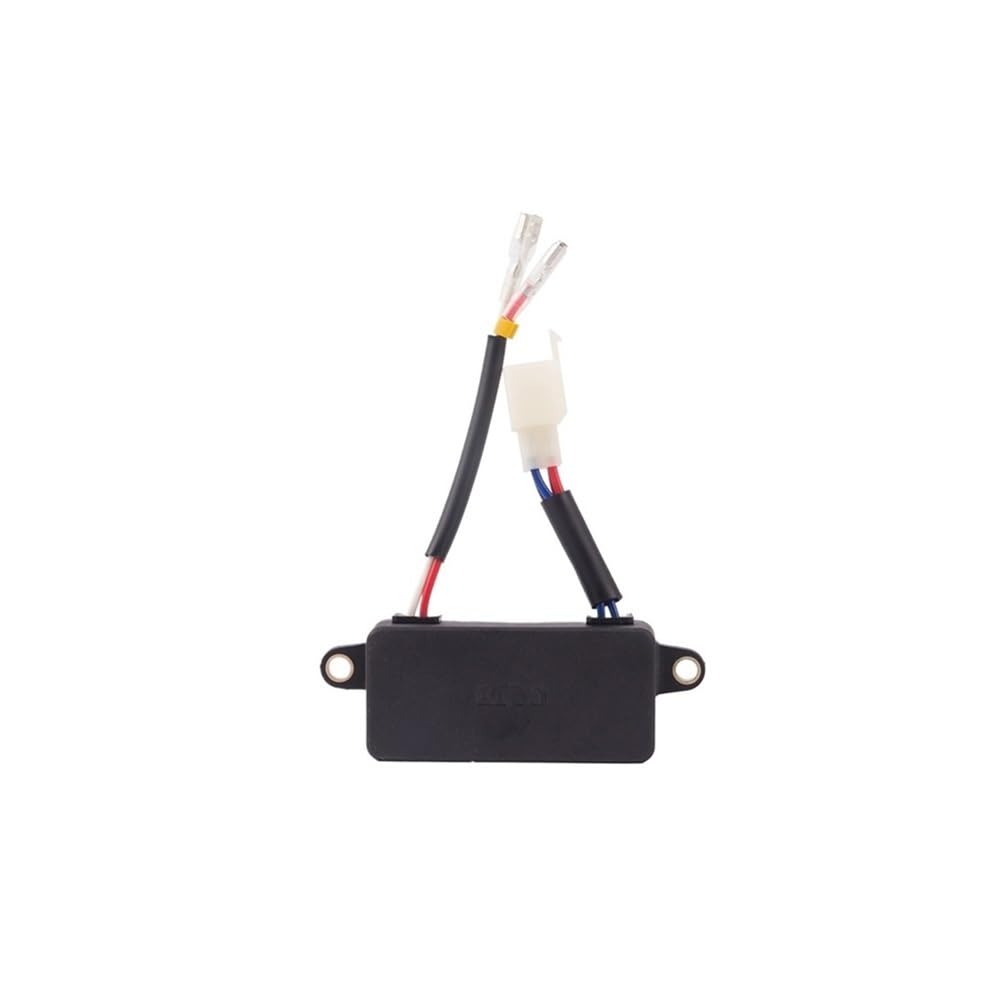 Stabilizzatore di tensione automatico monofase 3 kW e 220 V per piccoli generatori uso generale (2KW AVR)