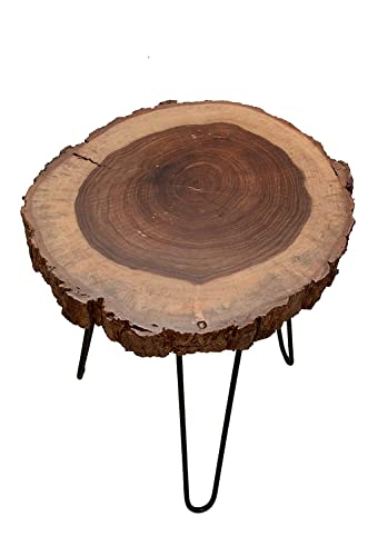 Image of Arico Natural Tree Bark End Table /Coffee Table /Bedside Table with Hairpin Metal Legs (Glossy)