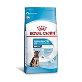 Ração Royal Canin Maxi Puppy Cães Filhotes 4 kg