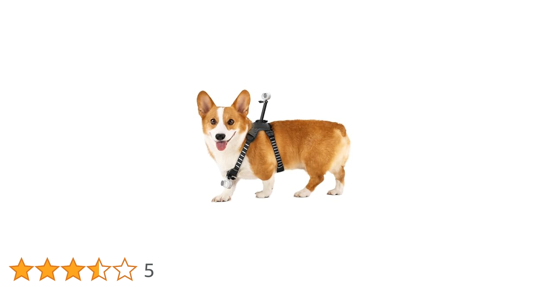 【新品未使用】Insta360 GO3 GO3S ペットハーネスマウントSサイズ Insta360 GO 3S ペットハーネスマウント Size S Pet Harness